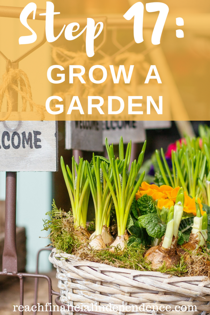 Step 17: Grow a garden. This post is part of a 30 days series called the 30 steps program to financial independence. You can check the list of other posts here. #financialindependence #frugallivingtips #frugal