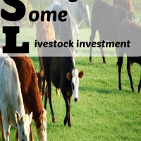 livestock investment