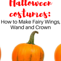 How to Make Fairy Wings, Wand and Crown