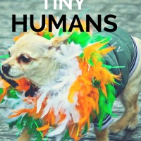 tiny humans